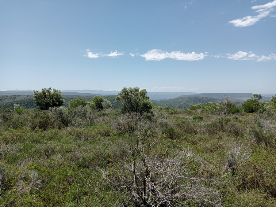 Commercial Property for Sale in Rocklands Eastern Cape